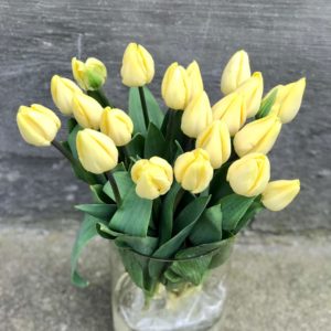 Tulpes